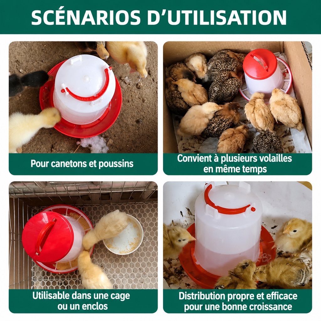 Distributeur de nourriture 3 kg et d'eau 3L pour poule