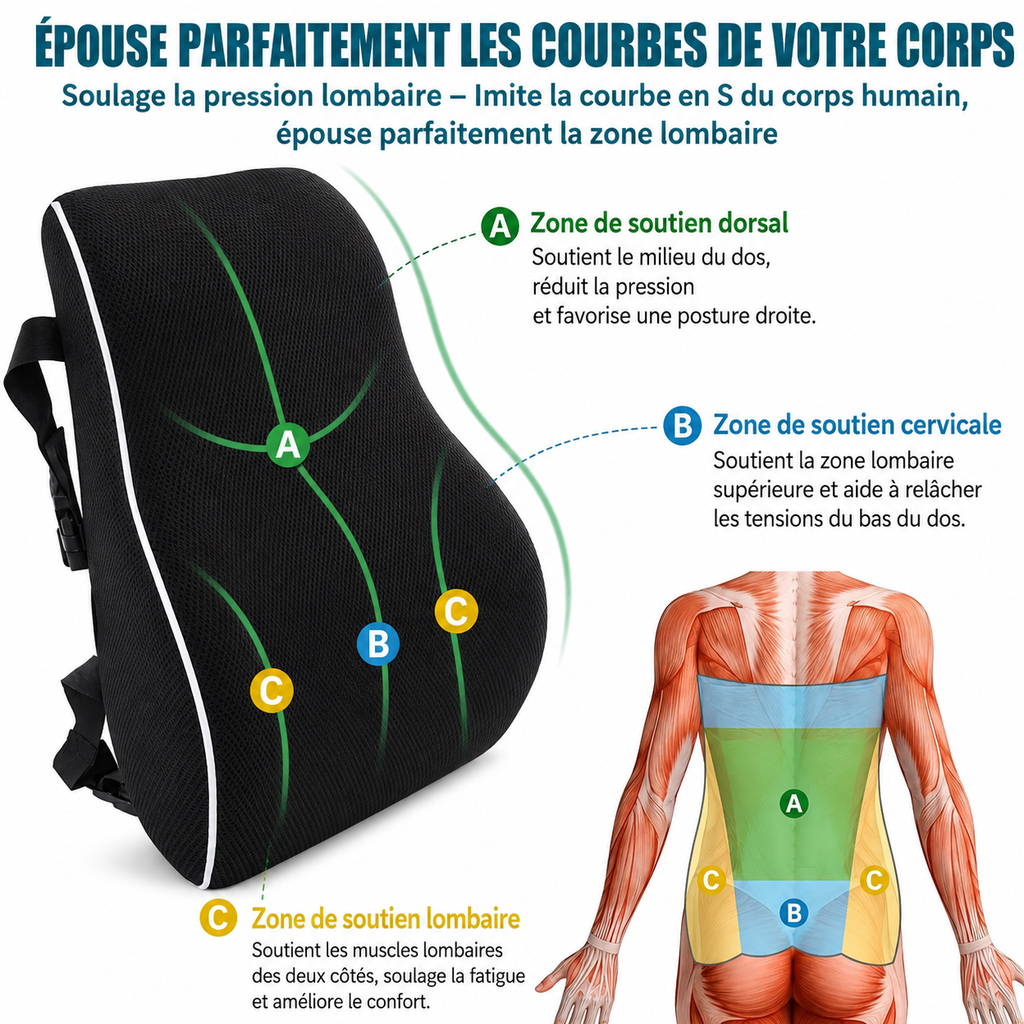 Coussin Lombaire en Voiture et au Bureau | Plus de douleur en Fin de Journée