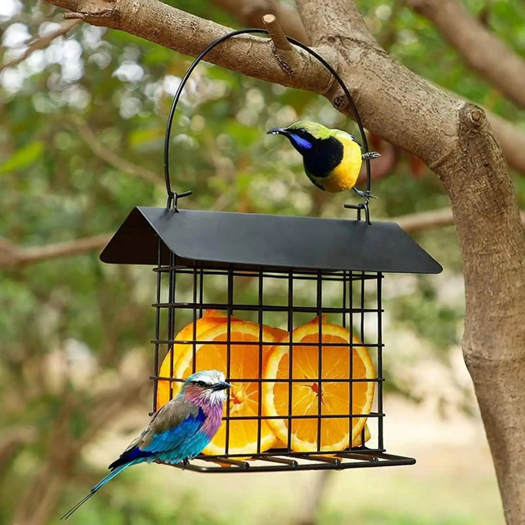 Mangeoire à oiseaux suspendue à l'extérieur