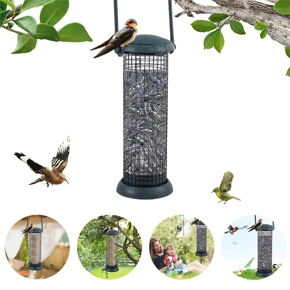Mangeoire à trous pour oiseaux