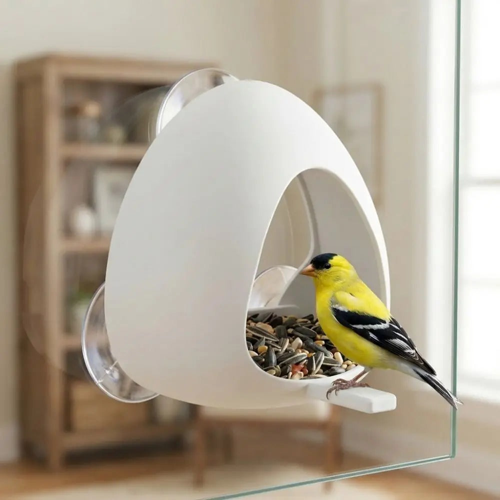Mangeoire à oiseaux pour fenêtre