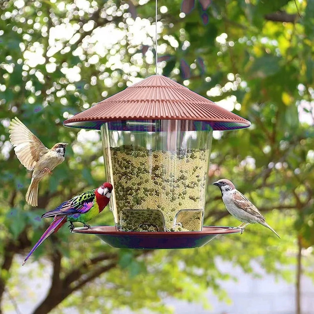 Mangeoire à oiseaux automatique