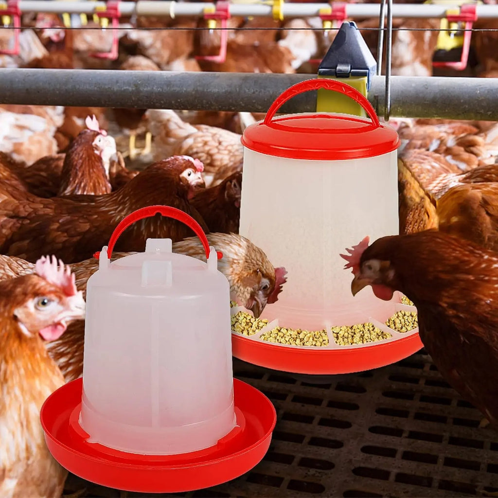 Distributeur de nourriture 3 kg et d'eau 3L pour poule